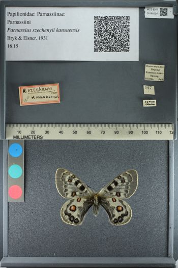 Media type: image;   Entomology 180324